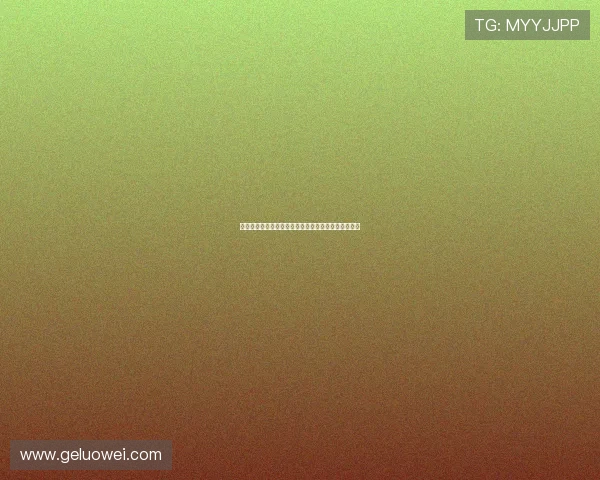 热苏斯谈帕尔梅拉斯兴趣:专注阿森纳未来不考虑转会