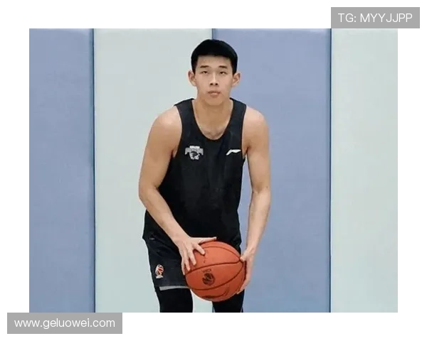 媒体人分析林葳择校困境球队机会有限难以展现潜力 媒体人分析林葳择校困境球队机会有限难以展现潜力